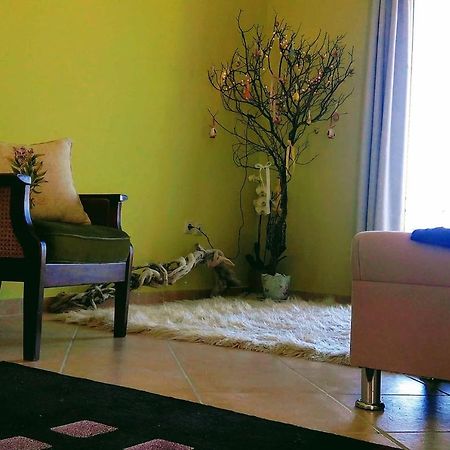 Ermina'S Gaze Apartamento Áyioi Dhéka Exterior foto