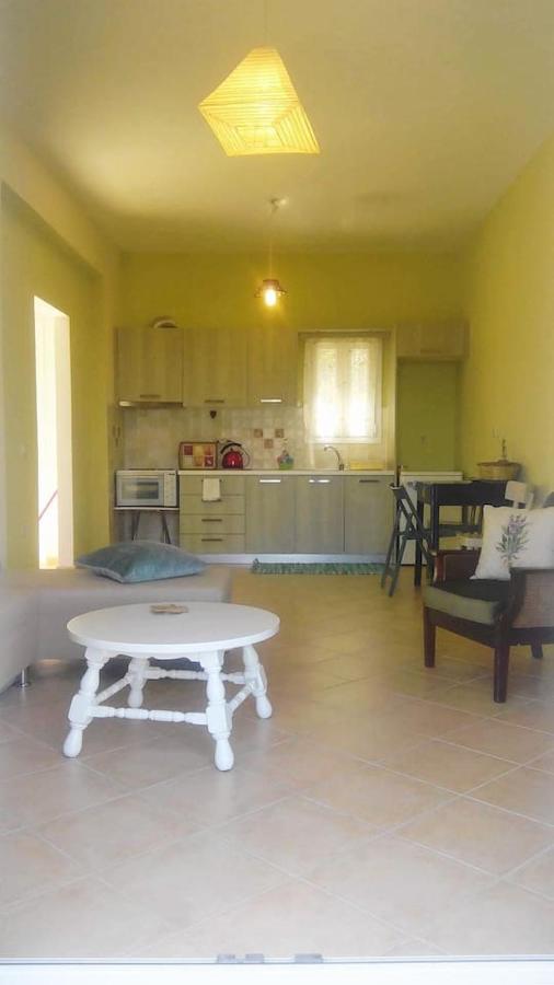Ermina'S Gaze Apartamento Áyioi Dhéka Exterior foto